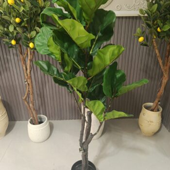 شحر صطناعي
